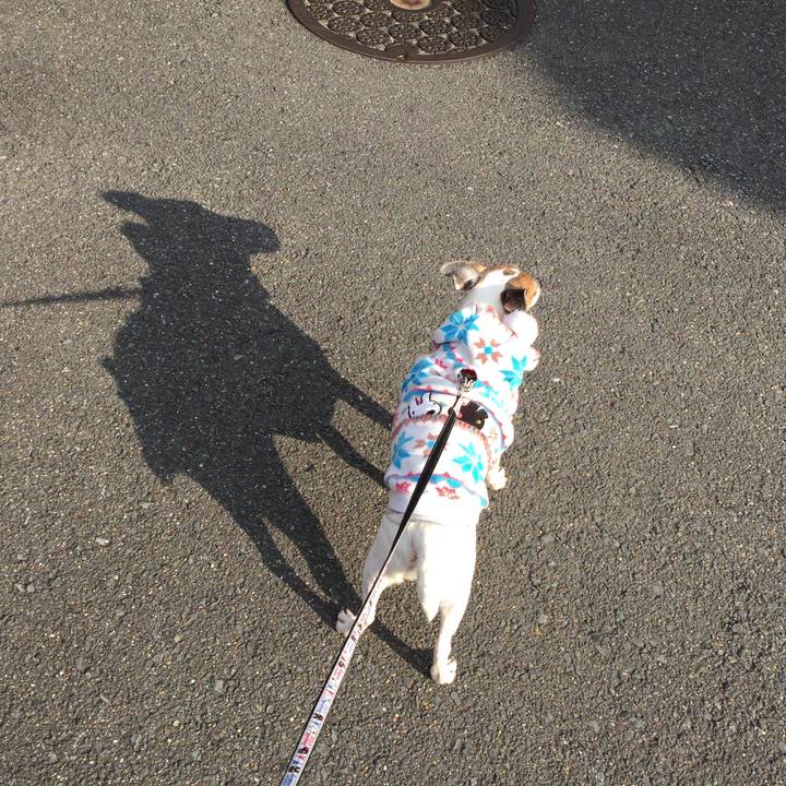 F529a4a3 a8a1 4b60 8ea5 48153063e2b9