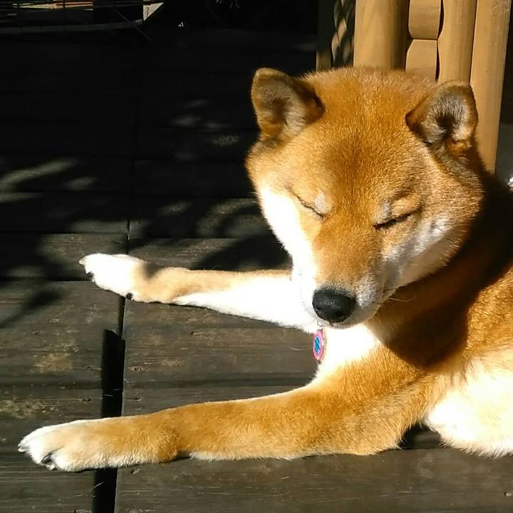 F529bcf4 ad21 4bc2 ba93 a9bb218c640f