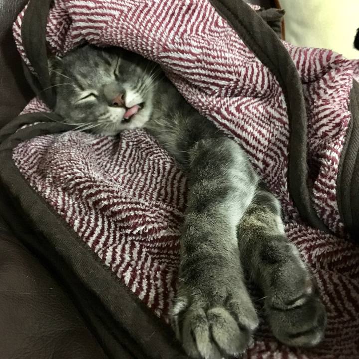 F529e1a1 dad7 486a 86c1 38f973b2dcc3