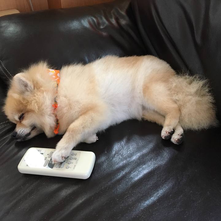 F52a276c 9d1e 4467 a40e 78182b24d577