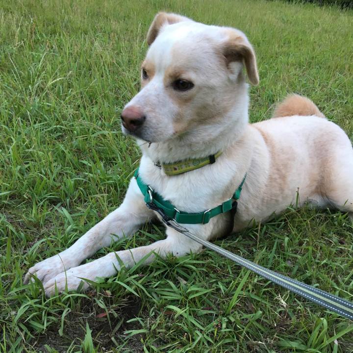 F52a8dfa 1c64 4ff6 a814 d0f95c091951