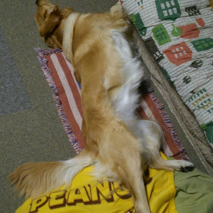 F52b1de4 ffdf 4b6c 9391 cc63a696f4e4