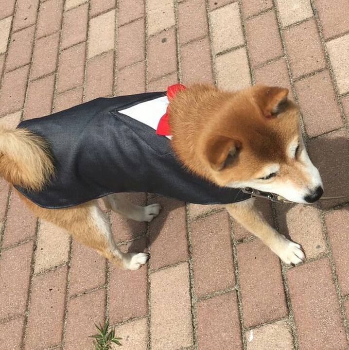 F52b4347 eb46 4e08 ae3d 6453da2871ba