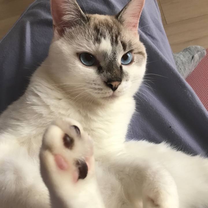 F52c262b 4b6e 407f ad8d 9f7bff768bed