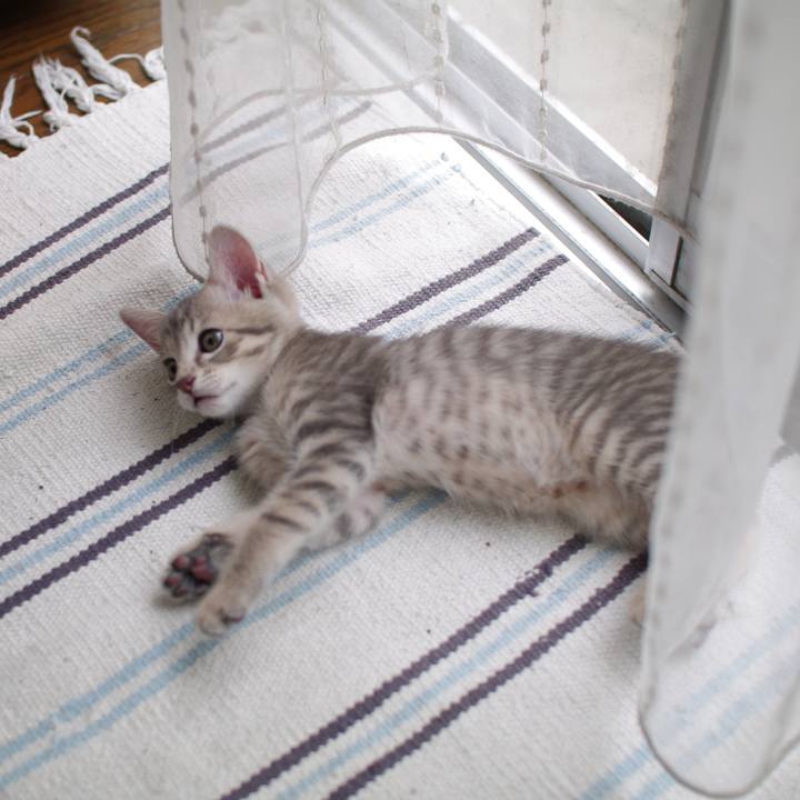 F52c400a 90fc 454f 89fa 392649c76f37