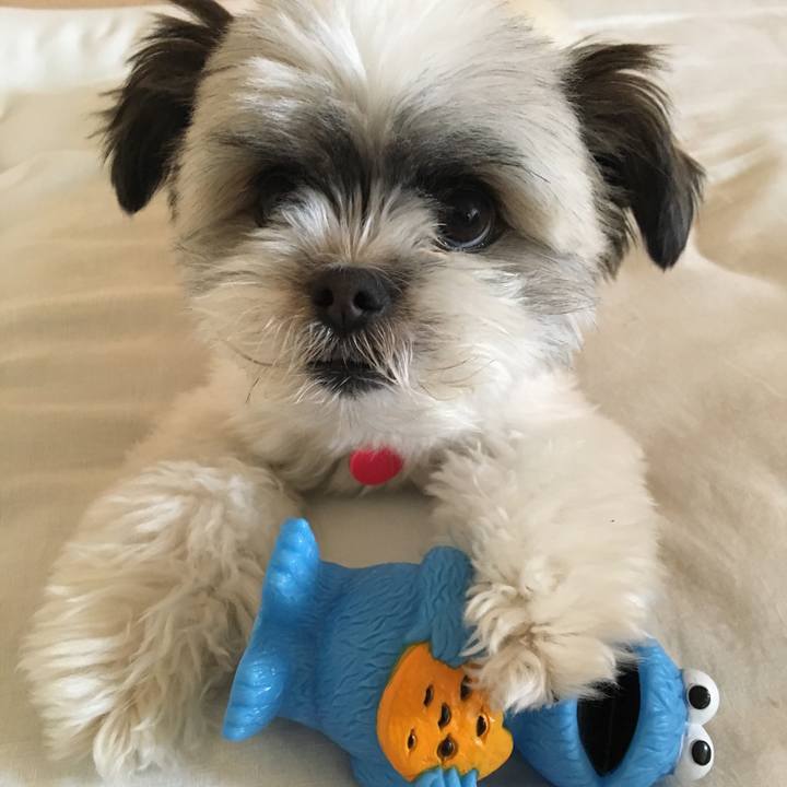 F52c6674 5f1d 4f32 93ec 91336cf20b78