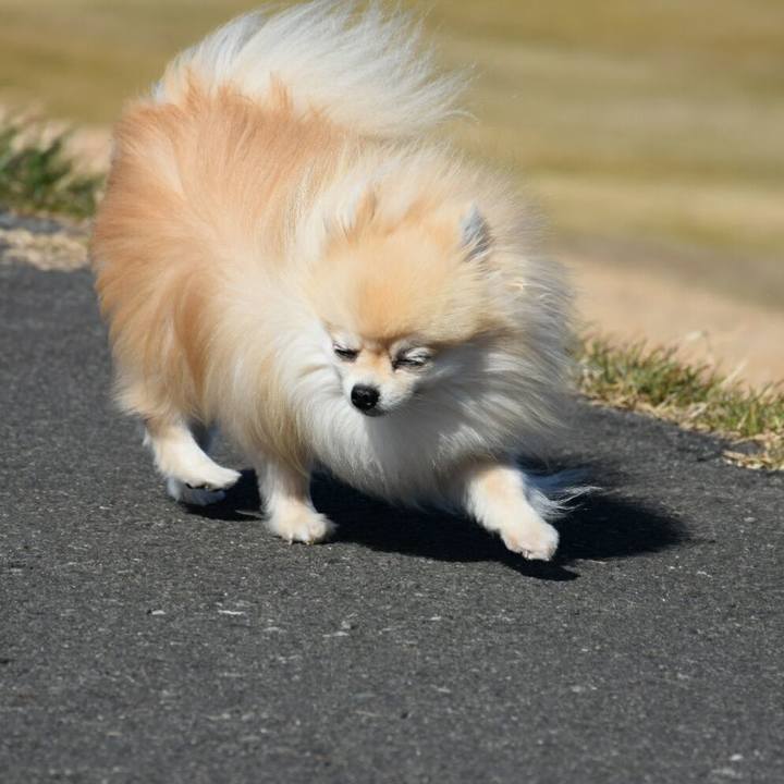 F52cbfb4 8437 43bf 9bef 2dbfbc6ee6ce