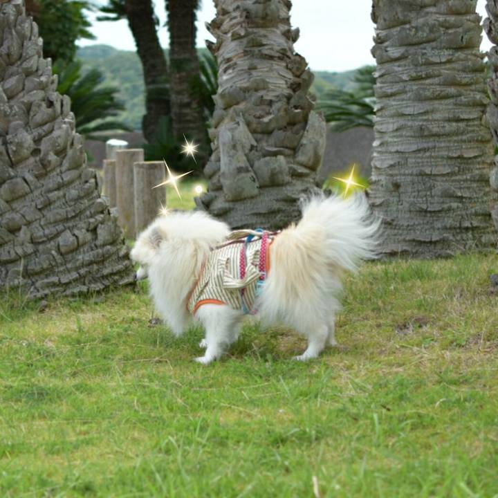 F52cc305 6e92 41b1 bf1f 57d03e722a37