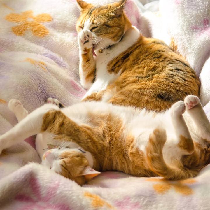 F52cced3 5f9a 4c3d aad8 72e1315be2ce