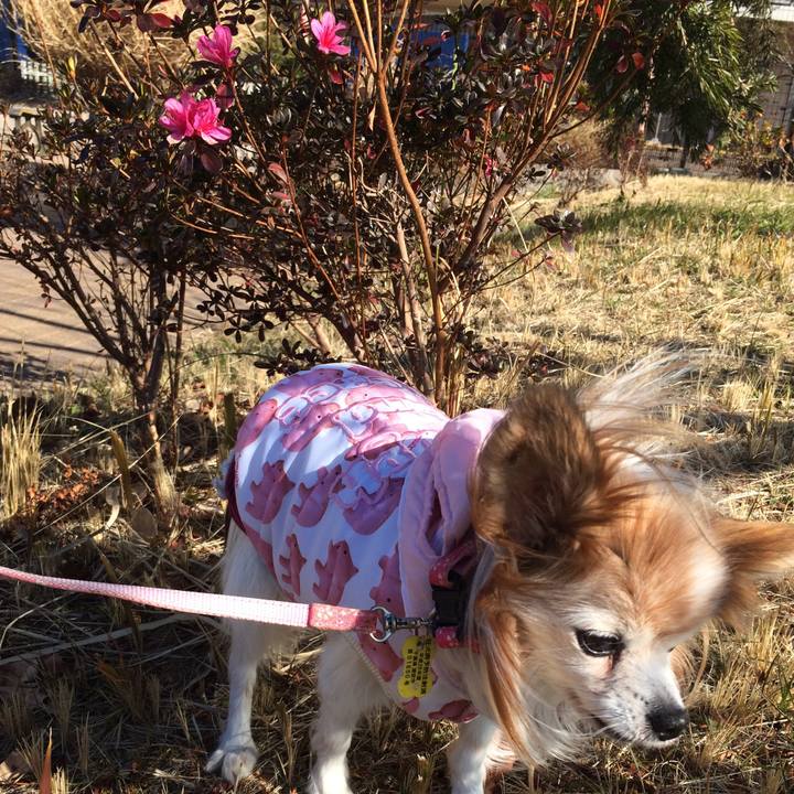 F52d1b47 126a 4c98 af0c b2654a6fa598