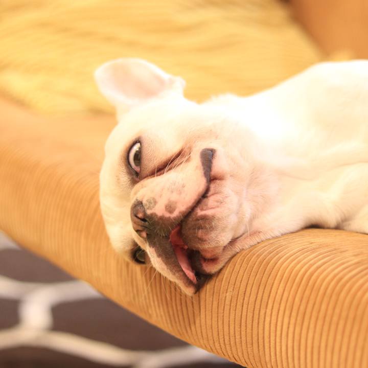 F52debec 303d 48e7 8074 91aec66ce12c