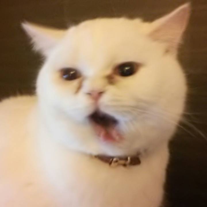 F52e07ca c4fd 44fa b518 b4641dd4e0c5