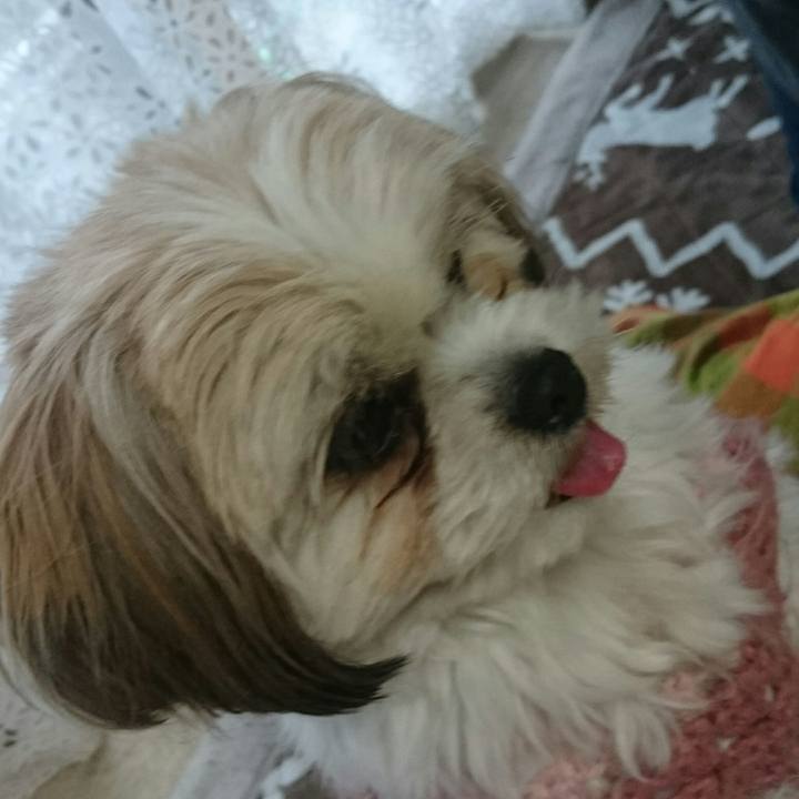 F52edd85 5de1 44b6 abe7 97f80a74a8c5