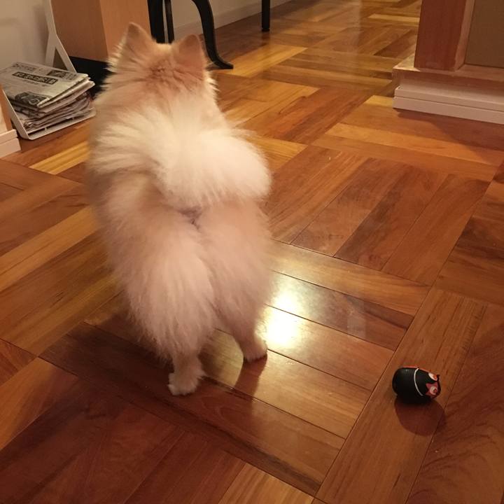 F52f59f8 529e 46ce af00 7deb86a36252