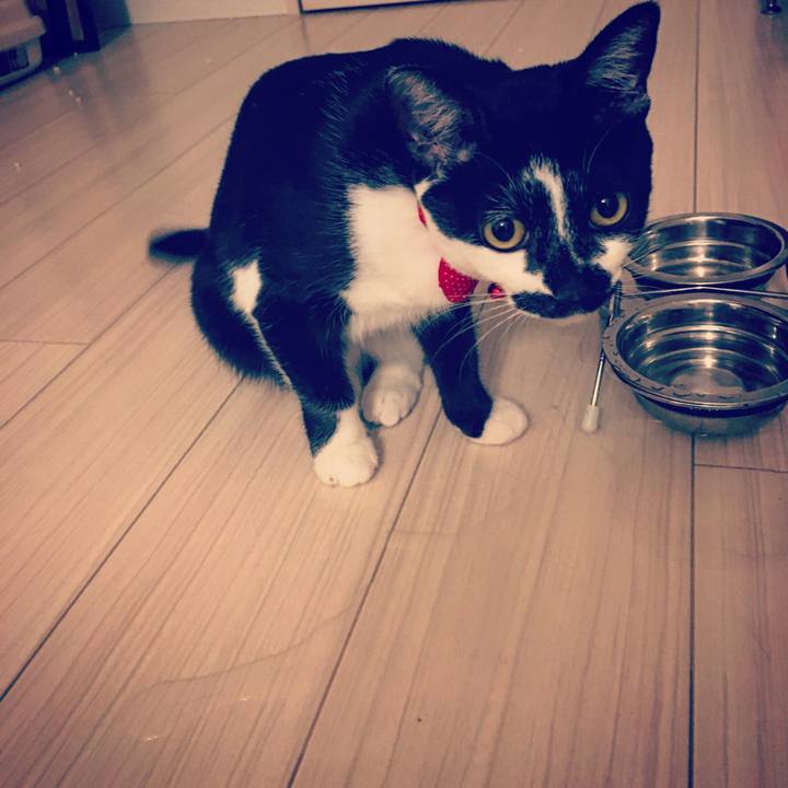 F52fa3b2 4735 4919 8f3d 7dbc98f98038