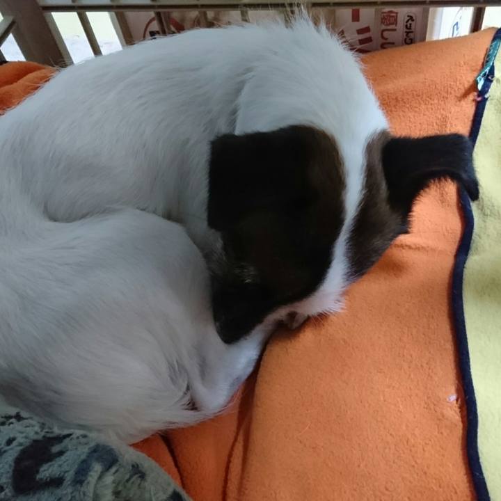 F52faa8f 3d94 41af 9d37 613945c27132