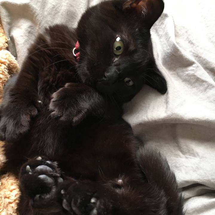 F5314996 30b5 4ccc a242 531bd0cbc2b9