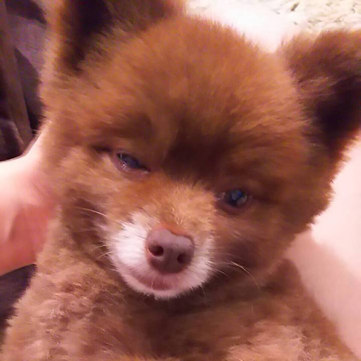 F5314b0b 13f3 4e91 ab56 17ea8cf6c777