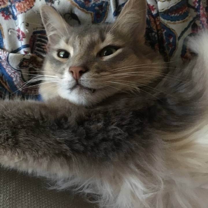 F531bc64 7b81 4566 a859 e691d91d7b5e