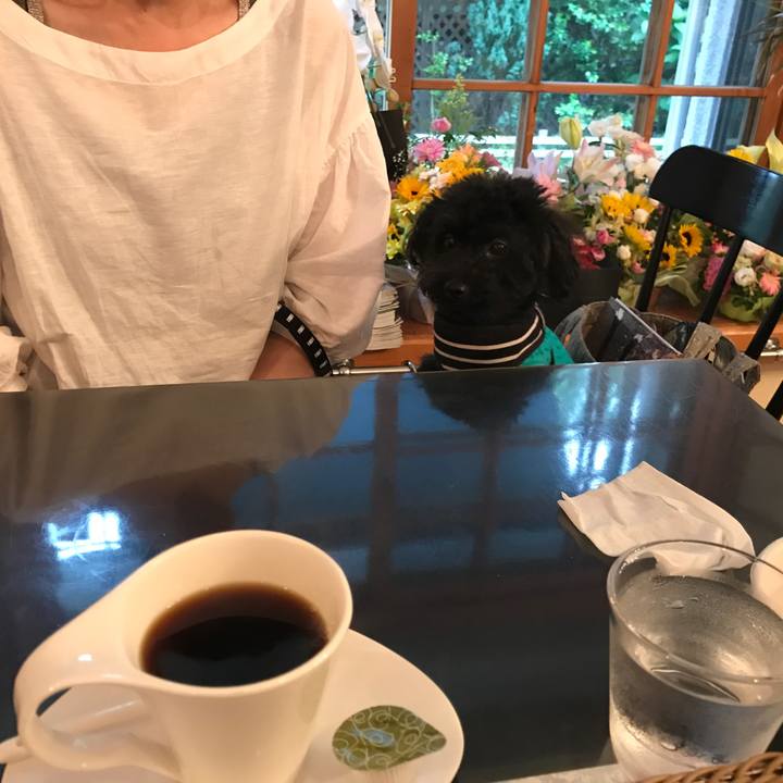 F5330483 af9c 4217 9f36 af804756a8e6