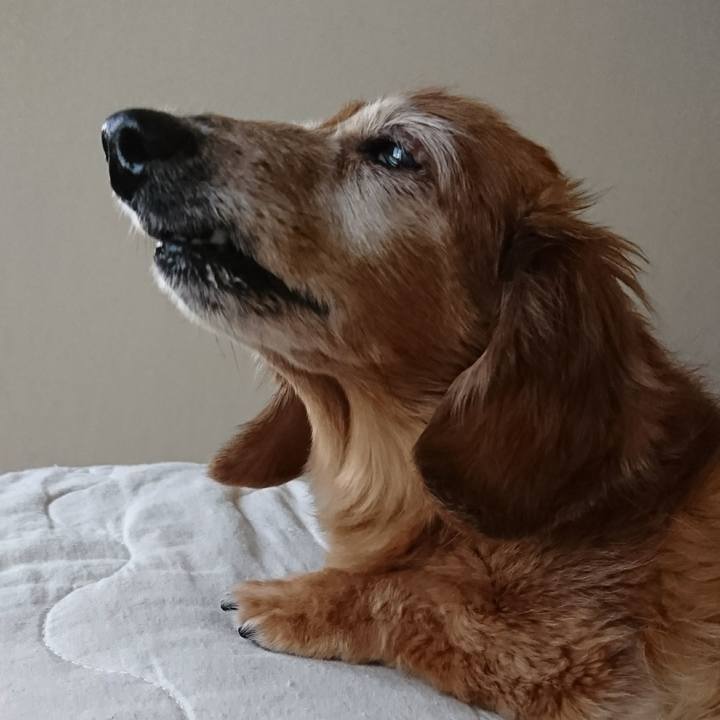 F5337167 f485 4b73 9a43 f5f7f7eb1bc2