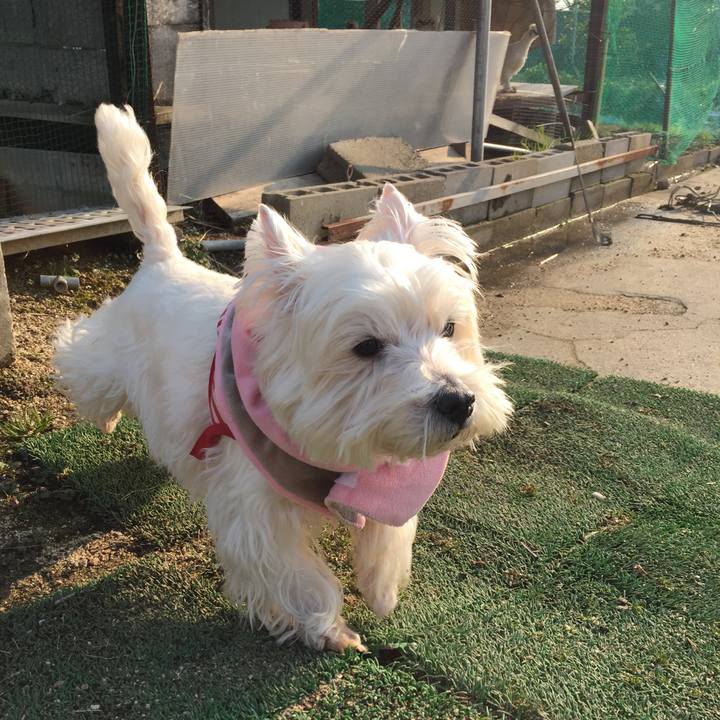 F533e68a 19d1 4713 85c8 190ab6e448b6