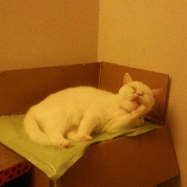 F533f868 eb53 40bb 8515 173e184906ef