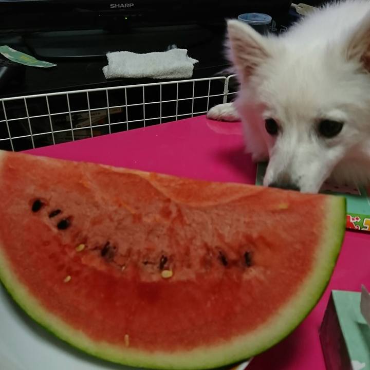 F534012a 25bd 4860 a9d4 59681768d35f