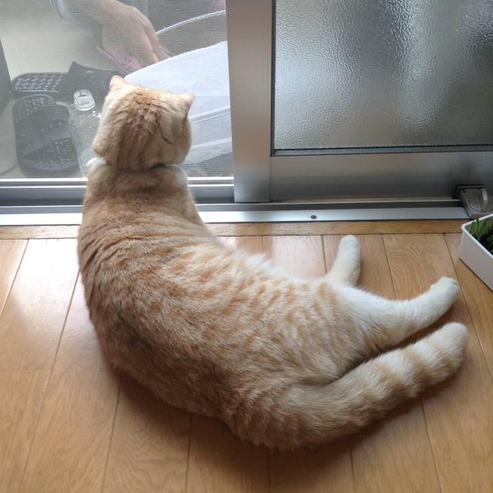 F534067c a0df 4e5d 9665 f3961d4122a2