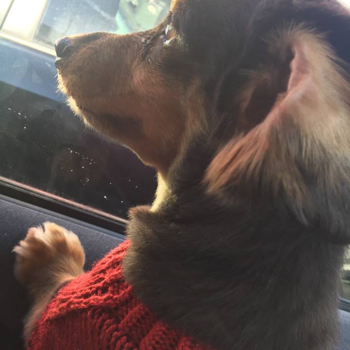 F53408ea 78d9 48e3 b46e c76d2a1a8dee