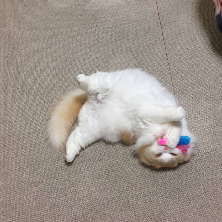 F5349ec3 5700 4d69 b750 da6626e00da7