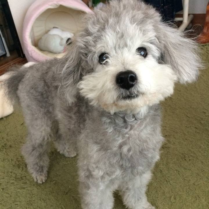 F534a0dc c5a2 4ffe 8fcd 6aed85125339