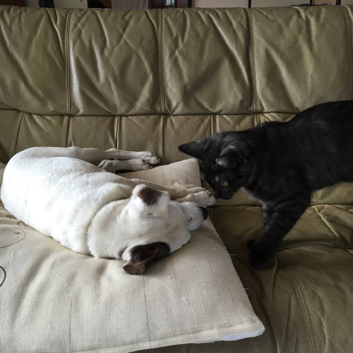 F535326b 4979 466e 8f12 0c95e6bbdd98