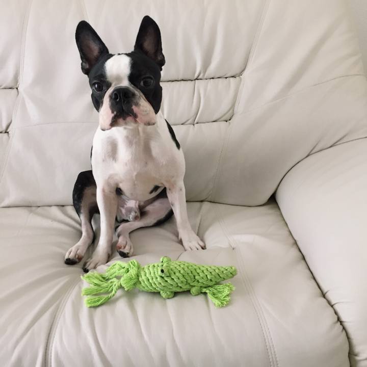 F535574c c812 4501 8a98 b89124e81ed5