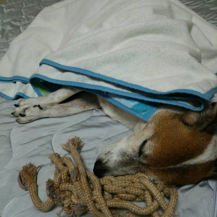 F5358329 b2cd 4140 b95d 58ebfff03746