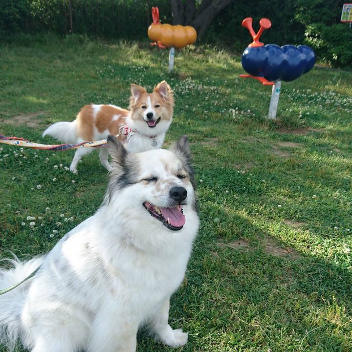 F535d570 977d 4dcb 8842 210ae6876ab0