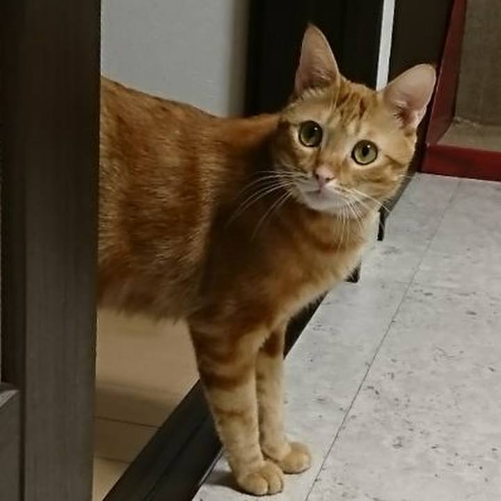 F535ddcf c7fe 46ae be1d 7fe471642c03