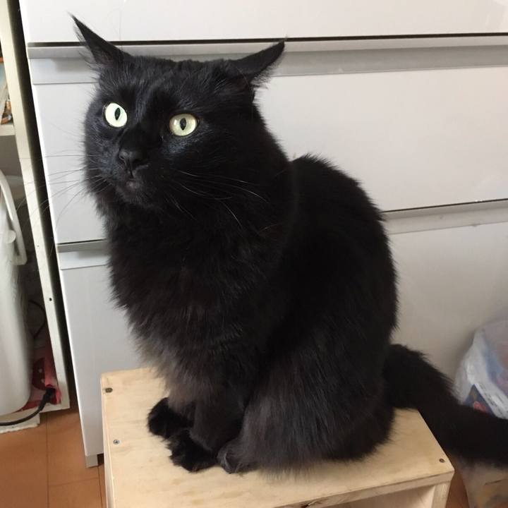 F535e62d 9f59 4e38 a44c 15415927c4a2