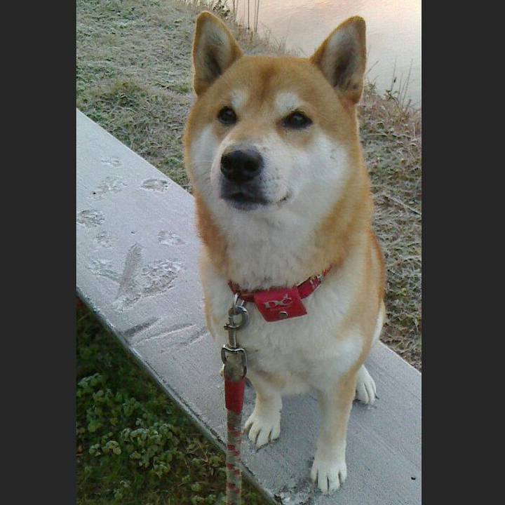 F535f00b 19a1 4266 978a a8f05373d4a3