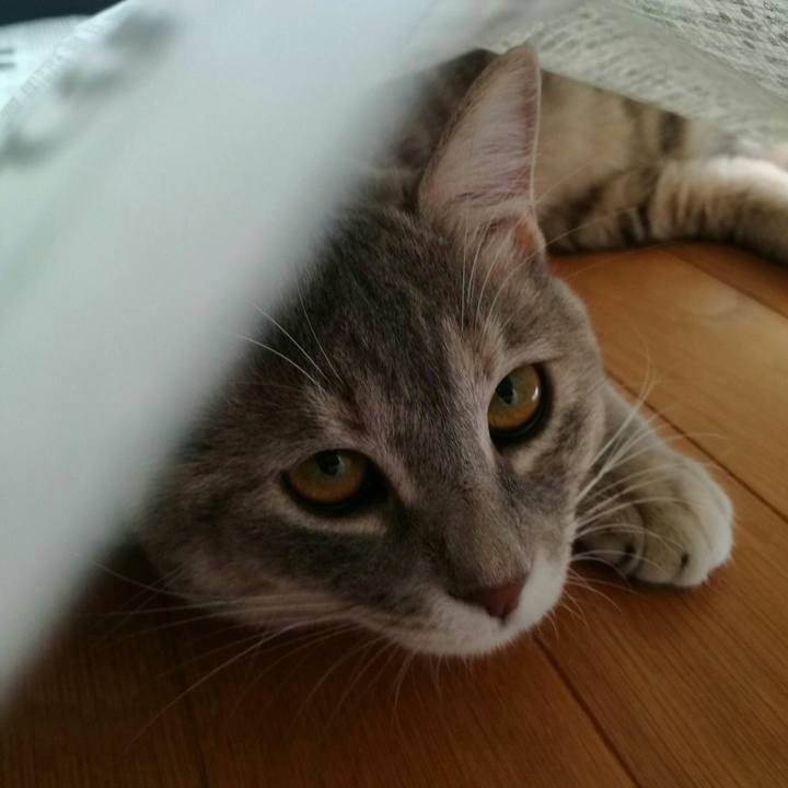 F5360e19 de7a 47c6 9e42 cfdec5ba05bb