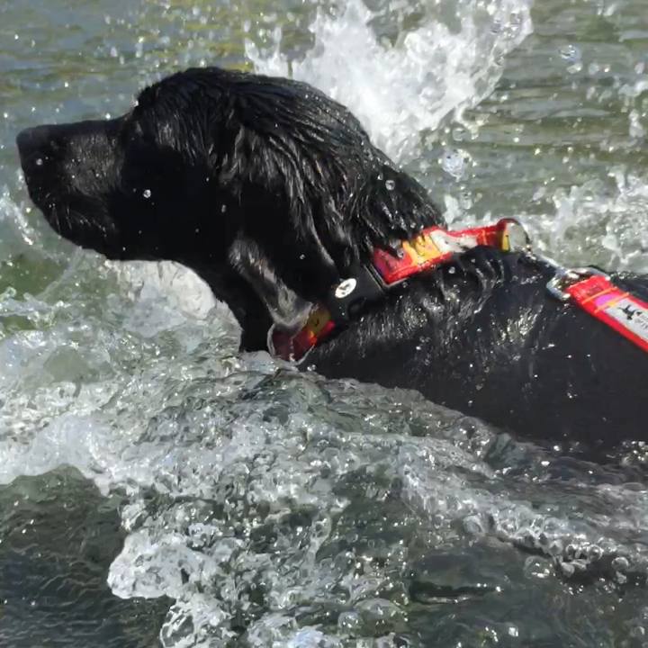 F5363675 33e5 4da0 b028 e9158f9d441d