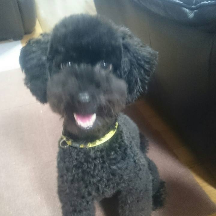 F5366d89 8ab9 4732 a803 f85d0717f9a4