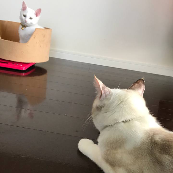 F5367ac2 2474 44fe ae85 103f92630ede