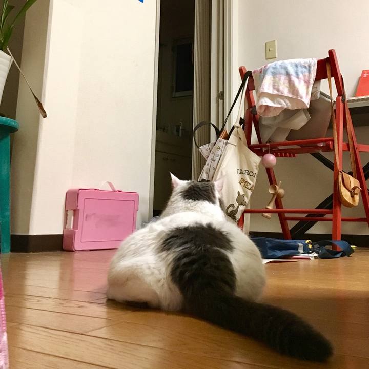 F536a28e 85ed 47c3 86e7 0017e909d884