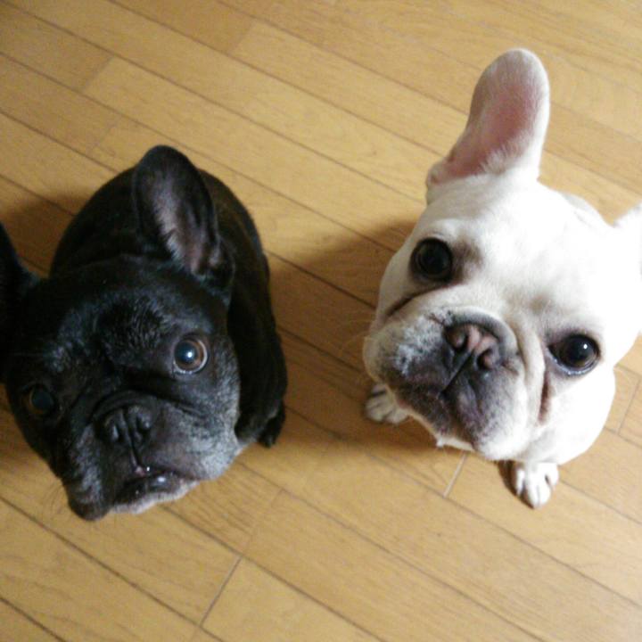 F536f75f 5cc1 4fd2 9d1e 0f9654c7dc7b