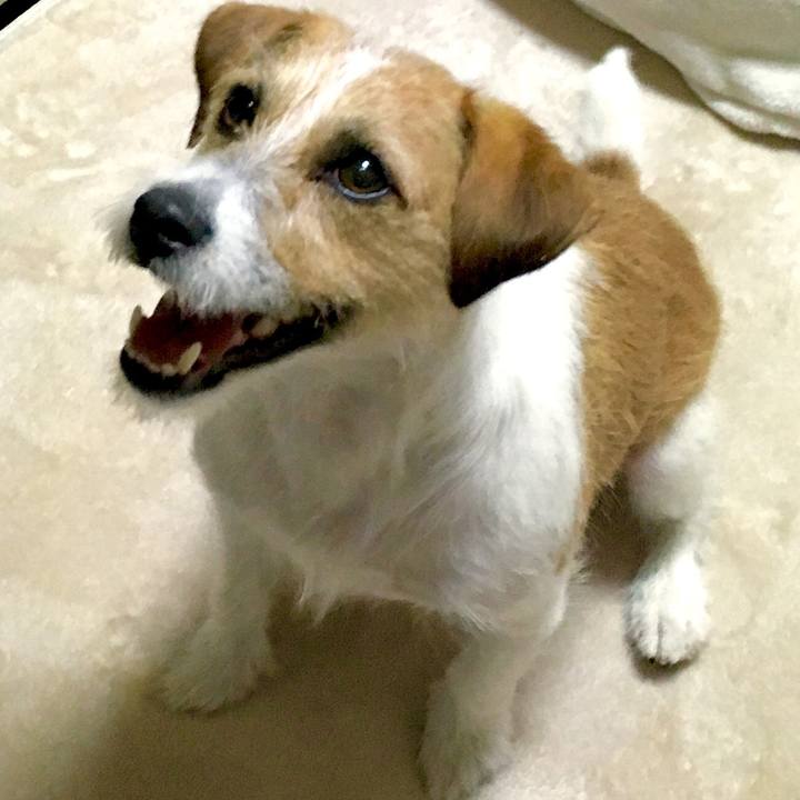 F537316c 011d 4d88 a6e5 9aafb046e4cc