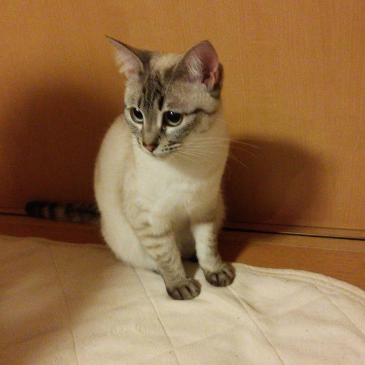 F5377c18 7960 4c66 ae52 1d49f24b4713