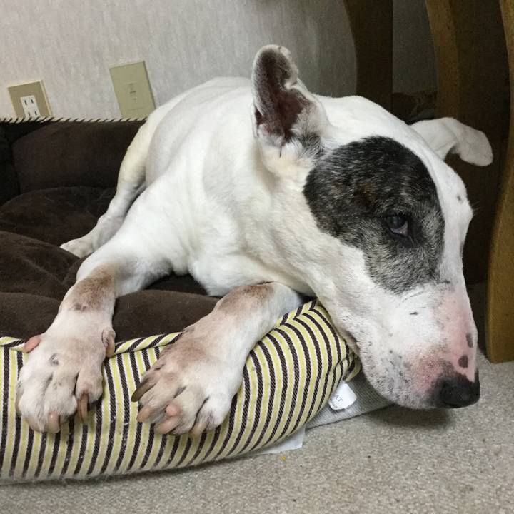 F53783ba 4581 4100 b7c1 455df7946e3c