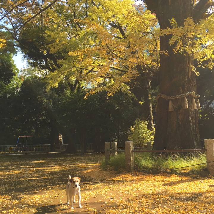 F537847b fe59 4da5 b675 abd86dd66d6b