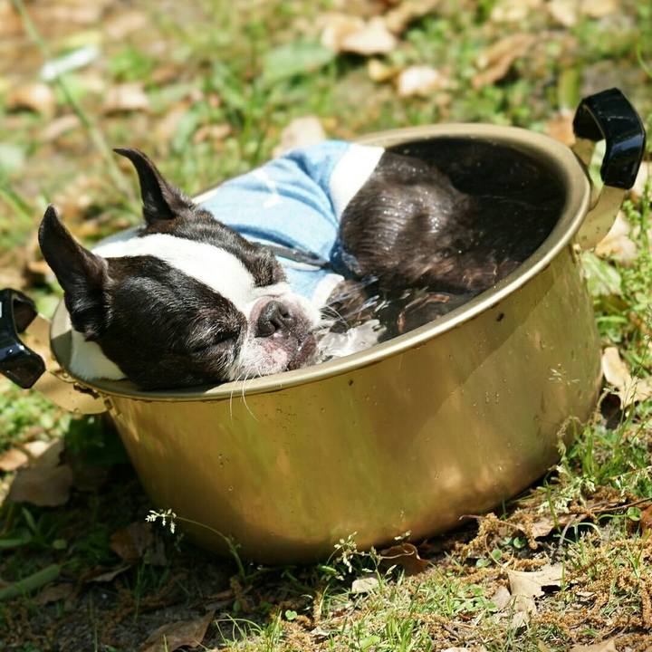 F537a1f2 0dde 4ced b99c a3bf40944907